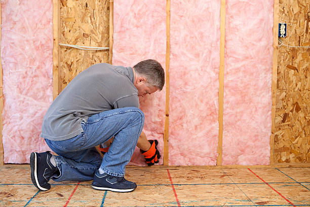 Best Crawl Space Insulation  in Brandermill, VA